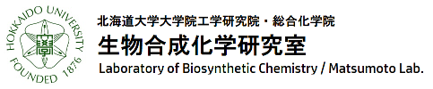biosynchem.eng.hokudai.ac.jp/